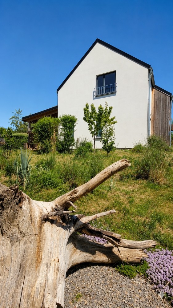 Dům obklopený středomořskou zahradou (foto 7)