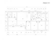Pavo 111