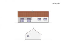 Pavo 111