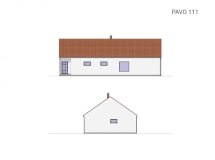 Pavo 111